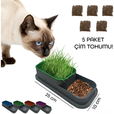 Neva Prime Topraksız Kedi Çimi