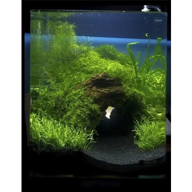 Lin Dekor 10 kg 1-2mm Hagen Siyah Bitki Kumu Akvaryum