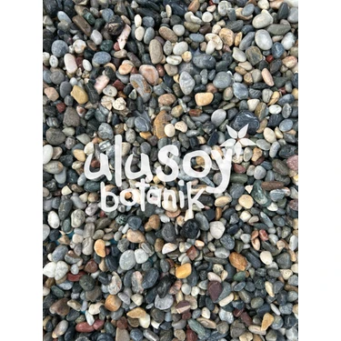 Ulusoy Botanik Dekoratif Çakıl Taşı / Renkli Dekoratif Taş / Bahçe, Saksı, Akvaryum, Teraryum Dekor