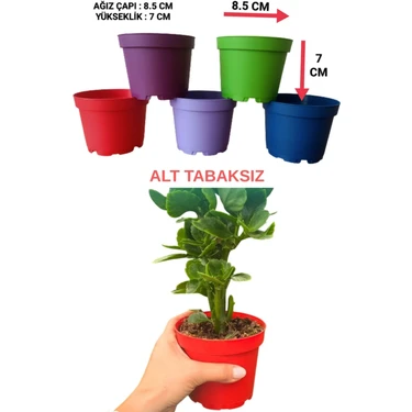 Tuğel Flowers 20 Adet KÜÇÜK BOY Plastik 5 Renkli Çiçek Üretim Saksısı (8.5 CM.LİK) Alt