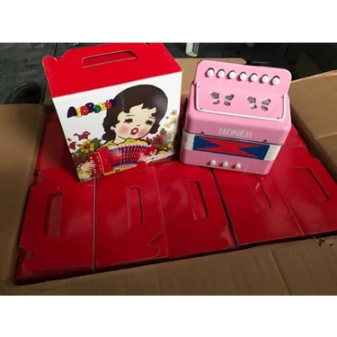 Mini Boy Pembe Çocuk Akordeonu, Eğlenceli ve Renkli Müzik
