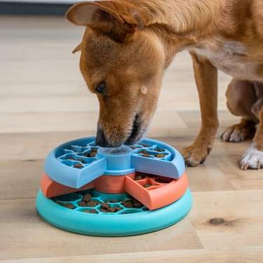 Outward Hound Lickin' Layers Köpekler Için Çok Katmanlı Yalama Kapları (Küçük / Orta Irklar