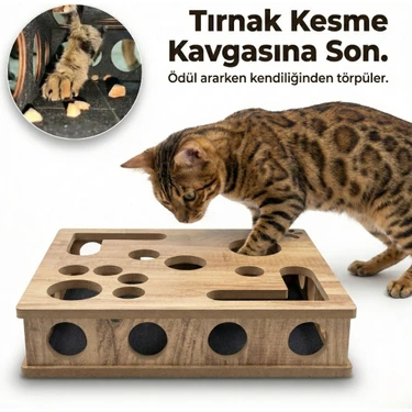 Kedikür™ – Tırnak Törpüleyen Tırmalama ve Oyun