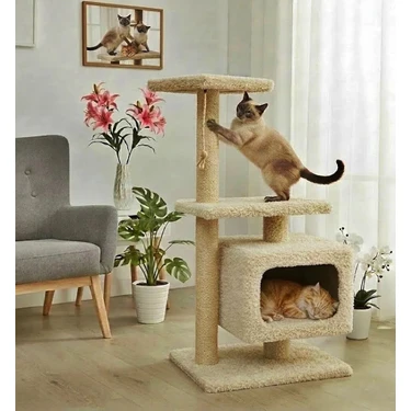 Turkuaz Tırmalama  TR311 Kedi Evi