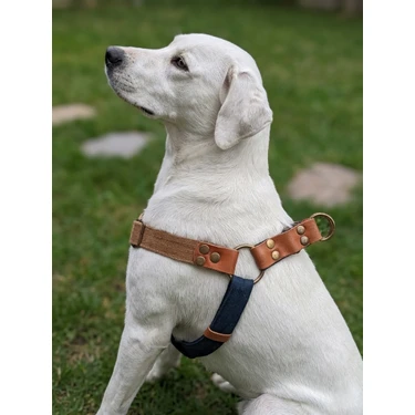 Balkonda Köpek Göğüs Tasması Büyük & Çok Büyük Irk Ayarlamalı Kadife ve Kot Lacivert &