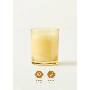 Bella Maison Amberwood Trail Soya Wax Kokulu Mum Sarı (120