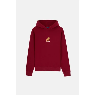 Reflect Studio Aslan Supersoft Hoodie -