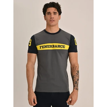 Fenerbahçe Erkek Kolej 1907 Fb