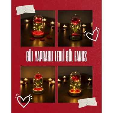 MiraLive Gül Yapraklı Ledli Gül