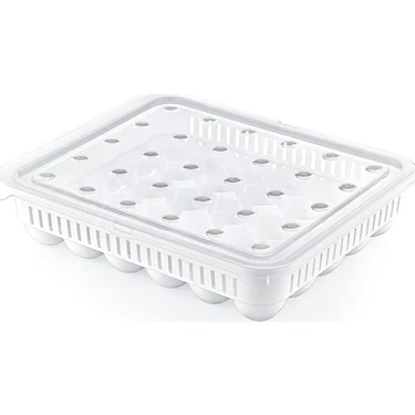 Promosyonca Plastik Yumurtalık, Kapaklı (30