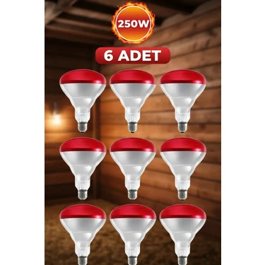Die Grup (6 Adet) 250W Kızılötesi Isıtıcılı Hayvan Isıtma ve Kuluçka Lambası (Kırmızı Işık) E27
