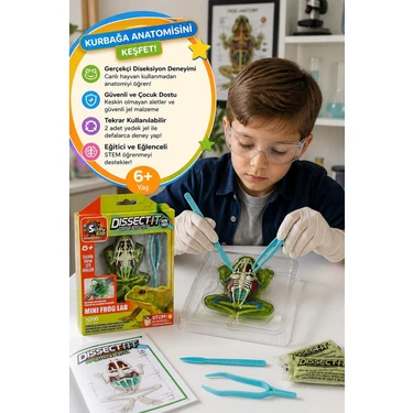 Toyfest Dissect It Mini Frog Lab Kurbağa Deney Seti Stem Fiyatı