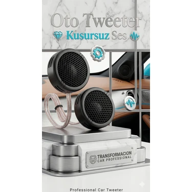 Transformacion TS-S250 Eversonic Tweeter Seti 350W Yüksek Performans Kristal Netliğinde Tiz Ses