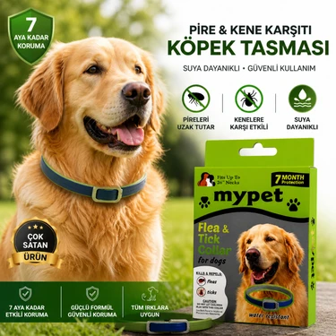 Kotenart Köpek Pire Kene Tasması 7 Ay Etkili Suya Dayanıklı Ayarlanabilir Koruyucu