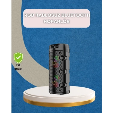 TKÇ USB Sd Kart ve Aux Girişli Taşınabilir