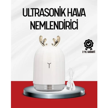 Zenvia Mey Ithalat® El Tipi USB Mini Soğuk Mist Nemlendirici 220 ML