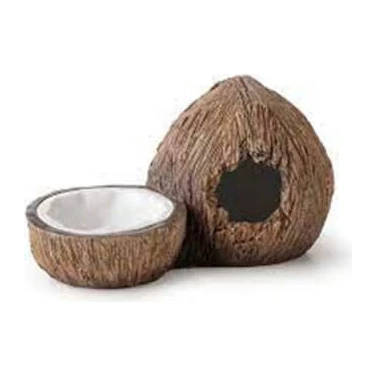 Uravas Store Ex Coconut Sürüngen Saklanma Alanı ve Su
