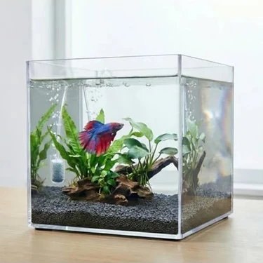 Esranın Dünyası 20X20X20 cm Kristal Nano Akvaryum - Karides ve Balık