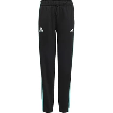 AyrStore Mercedes - Amg Petronas Formula 1 Team Dna