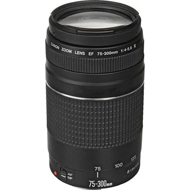 美品 Canon EF 75-300mm F4-5.6 III USM #117 format:webp