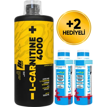 l carnitine tek şatlik Mustang Nutrition L-Carnitine 4000 Mg 1000 Ml 33 Servis Fiyatı Carnitine shot