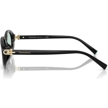 Tiffany&Co. Tiffany & Co. 0TF4242D 8001D954 Asetat Kadın Fiyatı