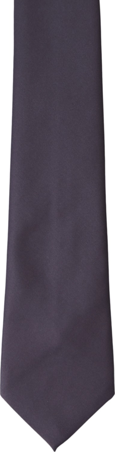 Altınyıldız Classics Lacivert Desensiz Kravat %100 Polyester Erkekler İçin Şık Model görsel 2