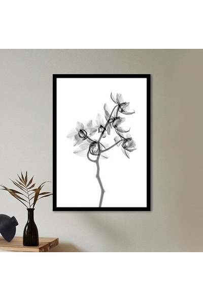 Gölgeli Bitki 2 Çerçeve ve Poster - B1101