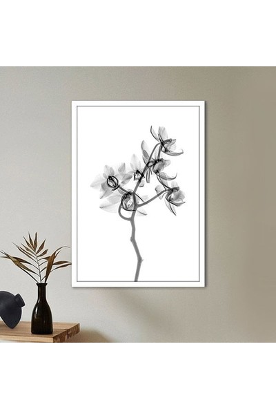 Gölgeli Bitki 2 Çerçeve ve Poster - B1101