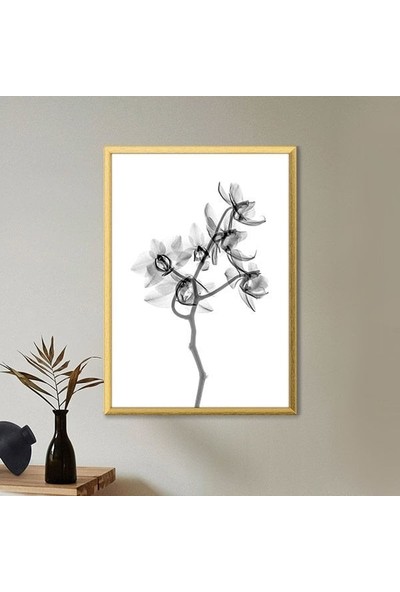 Gölgeli Bitki 2 Çerçeve ve Poster - B1101