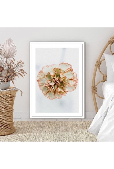 Yavru Ağzı Karanfil 1 Çerçeve ve Poster - B1197