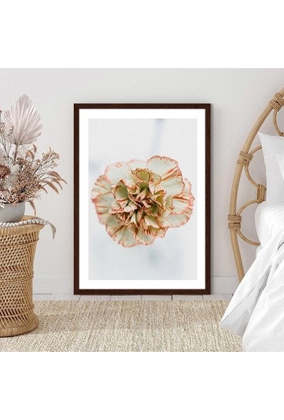 Yavru Ağzı Karanfil 1 Çerçeve ve Poster - B1197