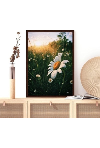 Papatyalar 1 Çerçeve ve Poster - B1147