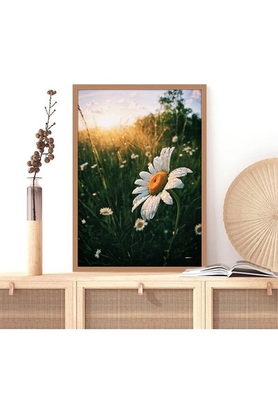 Papatyalar 1 Çerçeve ve Poster - B1147