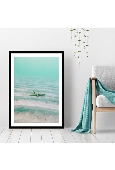 Deniz Yıldızı 1 Çerçeve ve Poster - DO1036