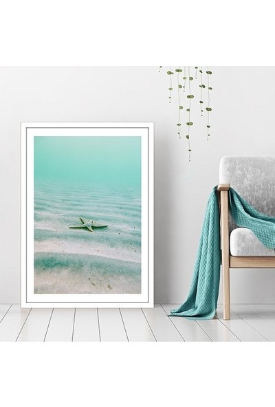 Deniz Yıldızı 1 Çerçeve ve Poster - DO1036