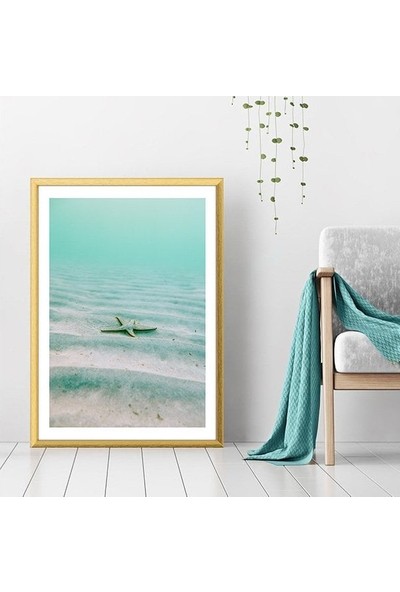 Deniz Yıldızı 1 Çerçeve ve Poster - DO1036