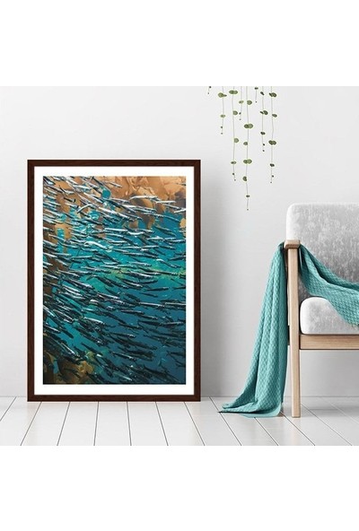 Balıklar 3 Çerçeve ve Poster - DO1040