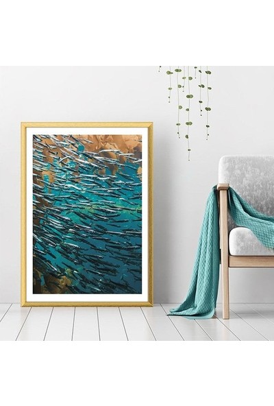 Balıklar 3 Çerçeve ve Poster - DO1040