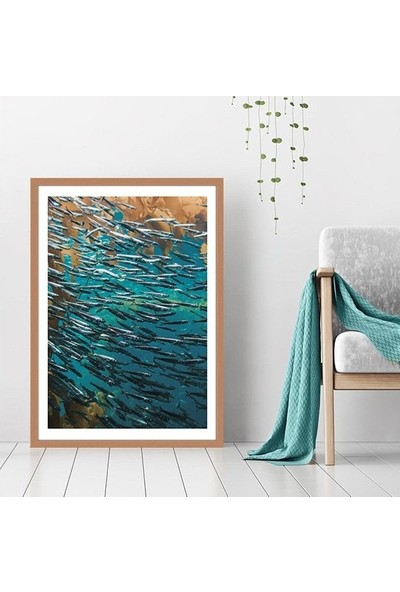 Balıklar 3 Çerçeve ve Poster - DO1040