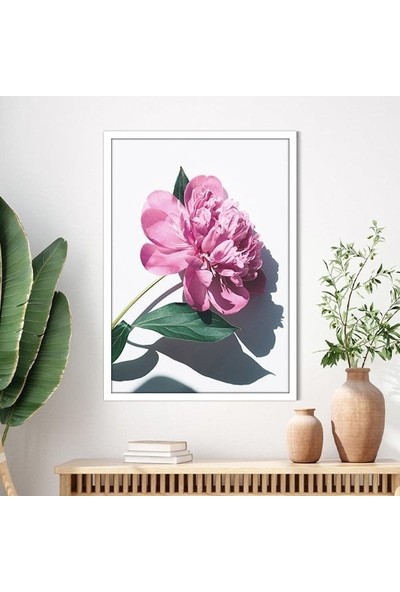 Pembe Şakayık 8 Çerçeve ve Poster - B1201