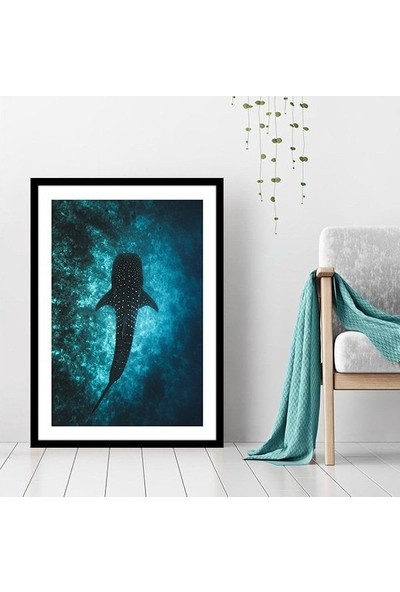 Balina 1 Çerçeve ve Poster - DO1043