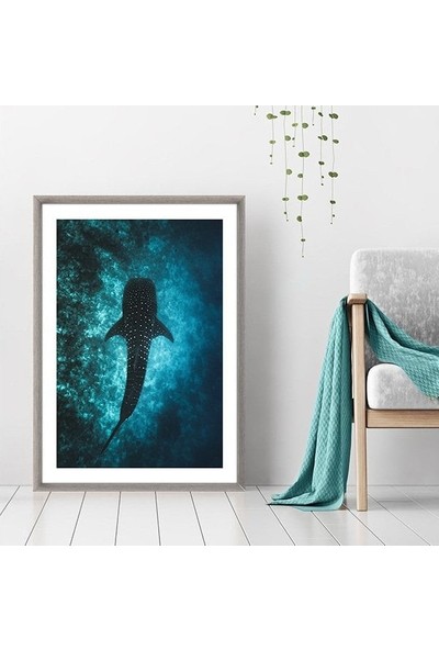 Balina 1 Çerçeve ve Poster - DO1043