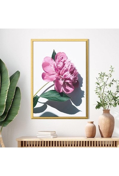 Pembe Şakayık 8 Çerçeve ve Poster - B1201