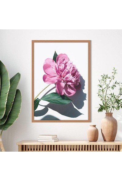 Pembe Şakayık 8 Çerçeve ve Poster - B1201