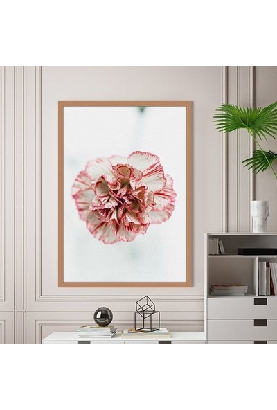 Pembe Karanfil 1 Çerçeve ve Poster - B1163