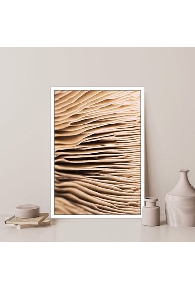 Mantar Dokusu 3 Çerçeve ve Poster - DO1051