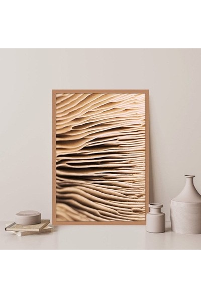 Mantar Dokusu 3 Çerçeve ve Poster - DO1051