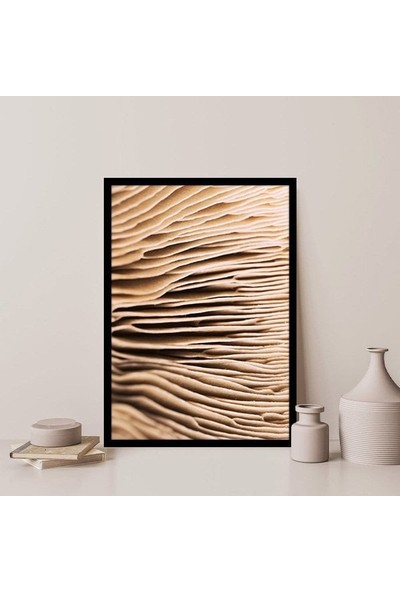 Mantar Dokusu 3 Çerçeve ve Poster - DO1051