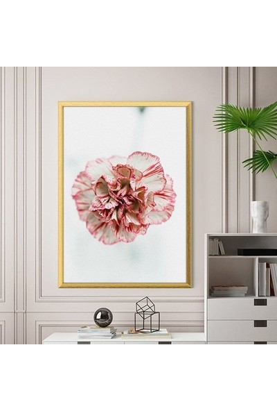 Pembe Karanfil 1 Çerçeve ve Poster - B1163